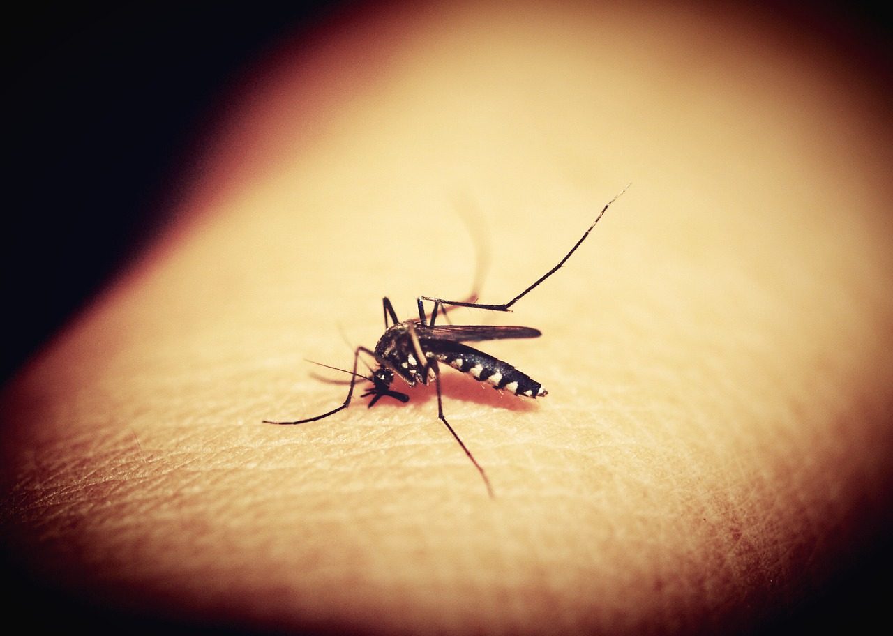 Rolo komarnici u dečijim sobama